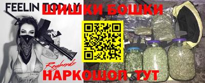 сатива Краснознаменск
