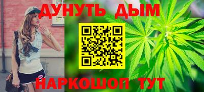 сатива Краснознаменск