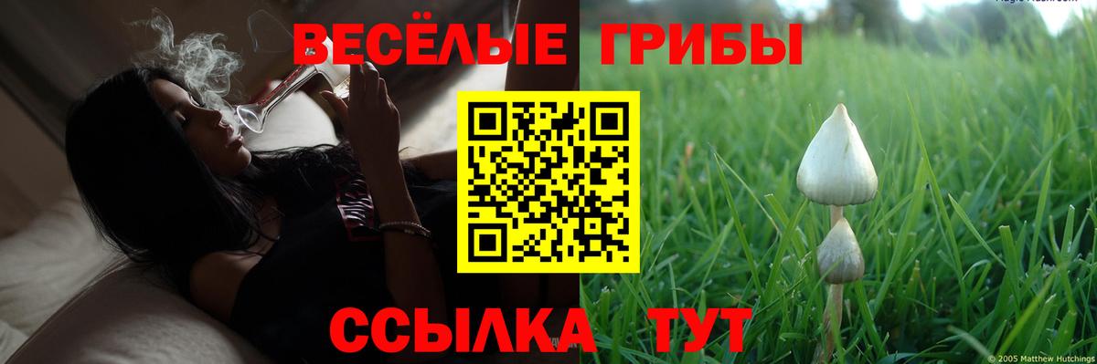 Кандалакша  Псилоцибиновые грибы Cubensis  Вход с VPN 